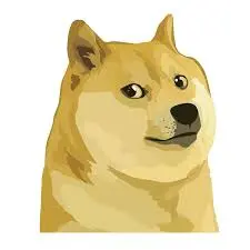 Doge